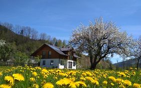 Gaestehaus Blonbauer